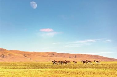 把学习贯彻习近平生态文明思想不断引向深入